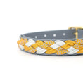 Load image into Gallery viewer, Calma Golden Mist Hundehalsband aus geflochtenem Paracord in Dunkelgrau und Curry – handgemachtes Halsband in herbstlicher Farbkombination.
