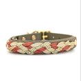 Bild in Galerie-Betrachter laden, Calma Rust Hundehalsband aus geflochtenem Paracord in Rost, Beige und Grün – handgemachtes Halsband in warmen Herbstfarben.