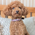 Load image into Gallery viewer, Calma Sundown – Braided Paracord Collar