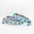 Bild in Galerie-Betrachter laden, BioThane® Set Robin 2.0 – Halsband & Leine im klaren Design