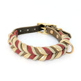 Bild in Galerie-Betrachter laden, Leder Hundehalsband Rust in warmen erdigen Herbsttönen – handgemacht von LucyLu Design®