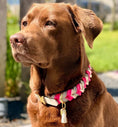Bild in Galerie-Betrachter laden, BioThane Halsband Mila – Taupe & Pink Diamonds, wasserfest & robust