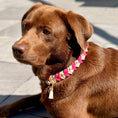 Bild in Galerie-Betrachter laden, BioThane Halsband Mila – Taupe & Pink Diamonds, wasserfest & robust