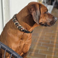 Bild in Galerie-Betrachter laden, Leder Hundehalsband „Toni“ – handgemacht in Schwarz & Braun