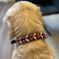 Bild in Galerie-Betrachter laden, Daily Deluxe Halsband – geflochtenes BioThane® Hundehalsband, individuell konfigurierbar in Größe, Breite & Farbe