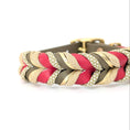 Cargar la imagen en la vista de la galería, BioThane Halsband Rust 2.0 – warme Herbstfarben