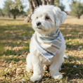 Bild in Galerie-Betrachter laden, Musselin-Bandana Stripes mit unterschiedlich breiten Streifen in Blau, Grün, Beige und Weiß von LucyLu Design®
