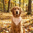 Bild in Galerie-Betrachter laden, Musselin-Bandana Soft Bloom