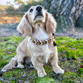 Bild in Galerie-Betrachter laden, Leder Hundehalsband „Loam“ – handgemacht & naturverbunden
