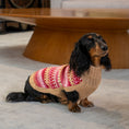 Bild in Galerie-Betrachter laden, Hundepullover Ice Magic Cherry aus Alpakawolle