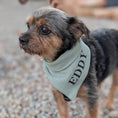 Bild in Galerie-Betrachter laden, Strick-Bandana Evergreen – handgefertigtes Hundebandana aus Wolle, personalisierbar mit Namen