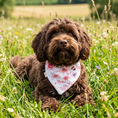 Bild in Galerie-Betrachter laden, Musselin-Bandana Blossom Rose mit großen Blüten in Rosé und Apricot auf hellem Hintergrund von LucyLu Design®