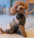 Bild in Galerie-Betrachter laden, Hundepullover Forest Chevron aus Alpakawolle – handgefertigt, grün mit Zickzackmuster