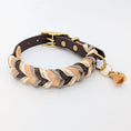 Bild in Galerie-Betrachter laden, Hund mit BioThane Halsband Mocha Cream