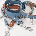 Bild in Galerie-Betrachter laden, Hundeleine, hangemacht, Leine, BioThane, Hunde, LucyLuDesign, Set Petrol