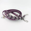 Bild in Galerie-Betrachter laden, Daily Deluxe Hundeleine aus BioThane mit Paracord und Zierschnur
