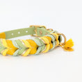 Bild in Galerie-Betrachter laden, BioThane Halsband Bright 2.0 – strahlendes Frühlingsdesign
