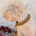 Bild in Galerie-Betrachter laden, Calma Autumn Leaf – geflochtenes Hundehalsband, Autumn Leaf Kollektion