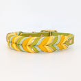 Bild in Galerie-Betrachter laden, Leder Hundehalsband Bright aus Leder in frischer Frühlingsfarbwelt – handgemacht von LucyLu Design®