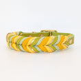 Bild in Galerie-Betrachter laden, Leder Hundehalsband Bright aus Leder in frischer Frühlingsfarbwelt – handgemacht von LucyLu Design®