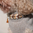 Bild in Galerie-Betrachter laden, BioThane® Hundehalsband und Hundeleine Set Loam – handgefertigt, wetterfest, LucyLu Design®