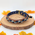Bild in Galerie-Betrachter laden, Calma Blue Oak – geflochtenes Hundehalsband, Autumn Leaf Kollektion