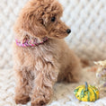 Bild in Galerie-Betrachter laden, Leder Hundehalsband Autumn Berry – Herbstkollektion LucyLu Design®
