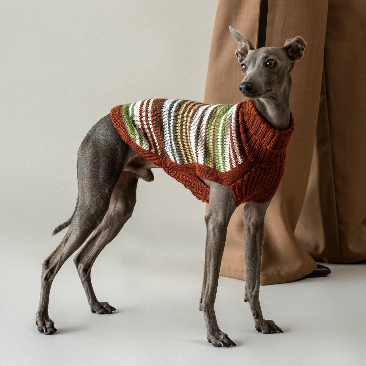 Hundepullover Rusty Striped aus Alpakawolle – handgefertigt, rostfarben mit Streifen