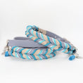 Bild in Galerie-Betrachter laden, BioThane® Set Robin 2.0 – Halsband & Leine im klaren Design
