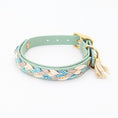Bild in Galerie-Betrachter laden, Calma Sea Glass Hundehalsband aus geflochtenem Paracord in Salbeigrün und Taupe, handgemacht und passend zur Calma Leine Sea Glass.
