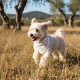 Bild in Galerie-Betrachter laden, Musselin-Bandana Soft Meadow
