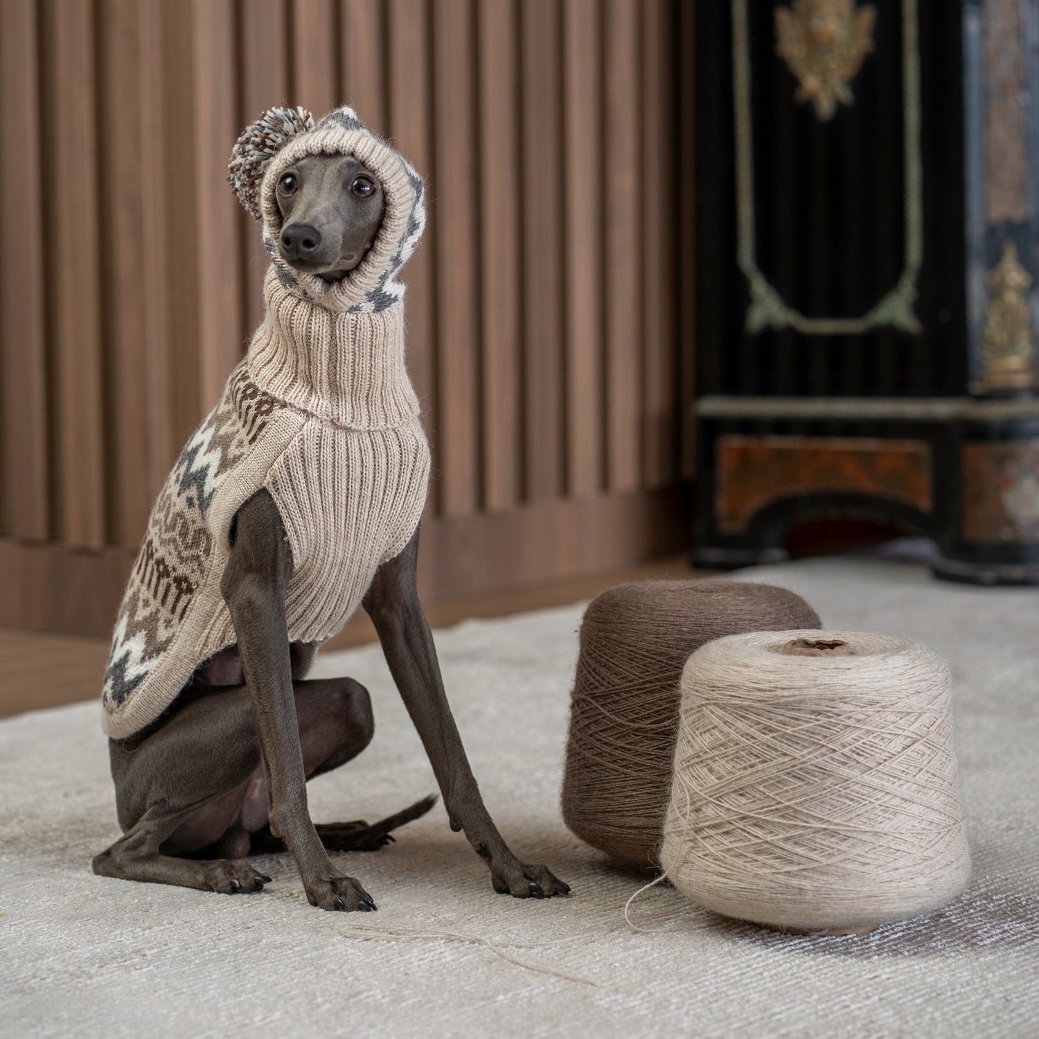Hundepullover Woolly Winter aus Alpakawolle – handgefertigt, weich & warm
