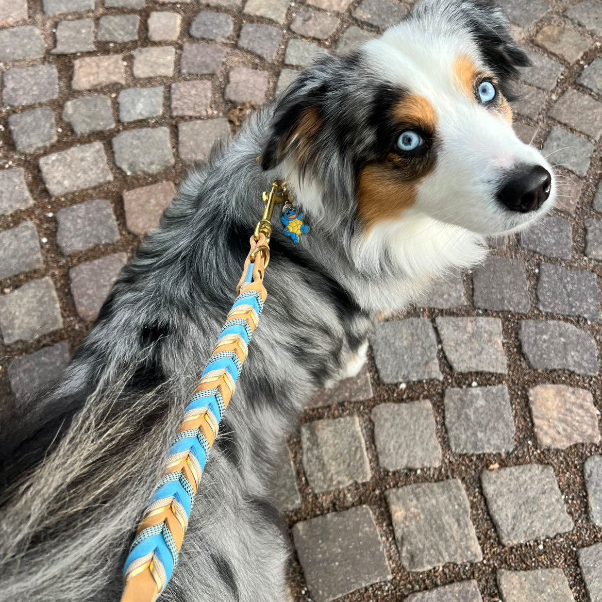 Hundeleine aus Leder Ocean Dust – elegantes Hundezubehör für den Alltag