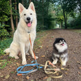 Bild in Galerie-Betrachter laden, Hundeleine, hangemacht, Leine, BioThane, Hunde, LucyLuDesign
