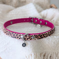 Bild in Galerie-Betrachter laden, BioThane Halsband Leo Jungle – zweifarbiges Design
