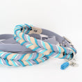 Bild in Galerie-Betrachter laden, BioThane® Set Robin 2.0 – Halsband & Leine im klaren Design

