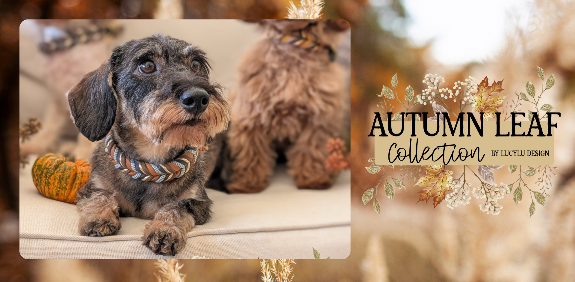 Autumn Leaf Kollektion Herbst LucyLu Design