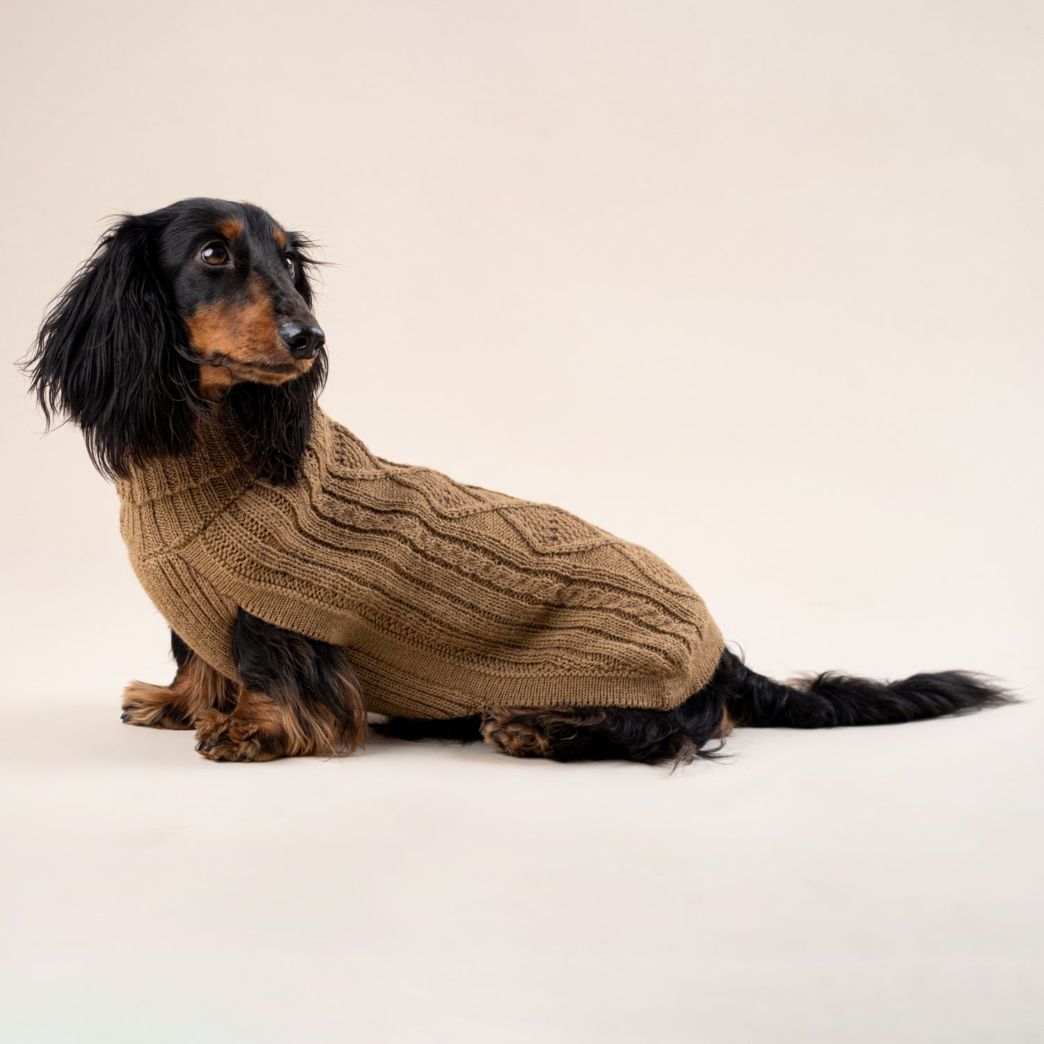 Hundepullover Camel Aran aus Alpakawolle – handgefertigt in Camelton mit Aran-Muster