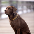 Bild in Galerie-Betrachter laden, Lederhalsband, Hundehalsband, handgemacht; Set
