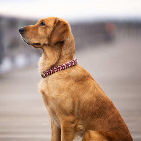 Leder-Hundehalsband, Halsband, handgemacht, Set