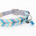Bild in Galerie-Betrachter laden, BioThane Halsband Robin 2.0 – klares, modernes Design
