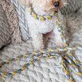 Cargar la imagen en la vista de la galería, Calma Golden Mist Hundeleine aus geflochtenem Paracord in Dunkelgrau und Curry mit optionalem Kurzführer aus BioThane® oder Leder.
