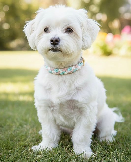 Calma Silk – Halsband mit geflochtenem Detail