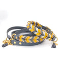 Bild in Galerie-Betrachter laden, BioThane® Set Golden Mist 2.0 – Halsband & Leine in Grau & Curry
