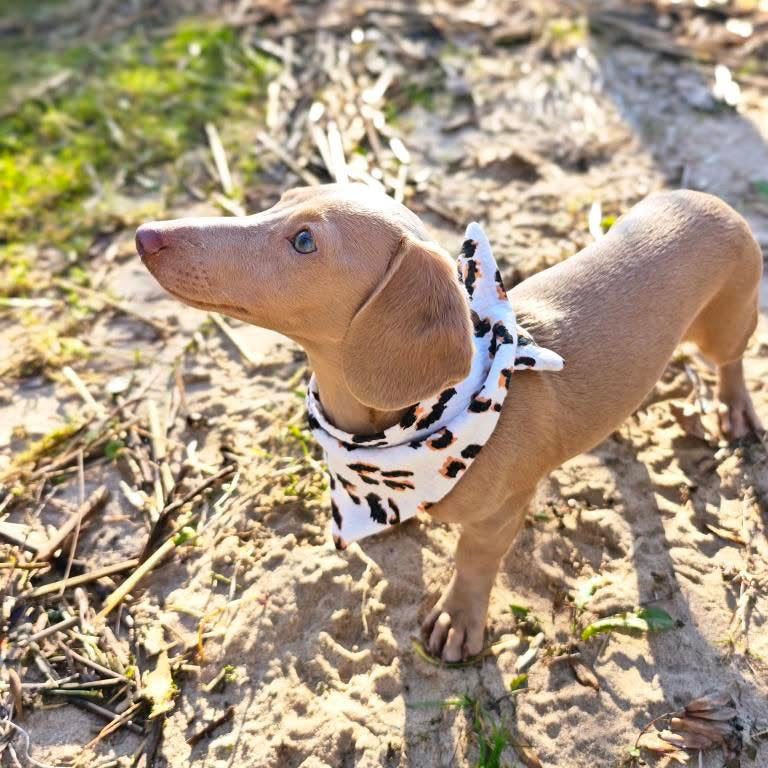 Musselin-Bandana Leo White mit weißem Leo-Print auf hellem Grund von LucyLu Design®