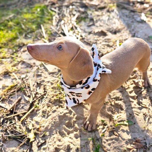 Musselin-Bandana Leo White mit weißem Leo-Print auf hellem Grund von LucyLu Design®