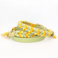 Bild in Galerie-Betrachter laden, BioThane Halsband Bright 2.0 – strahlendes Frühlingsdesign
