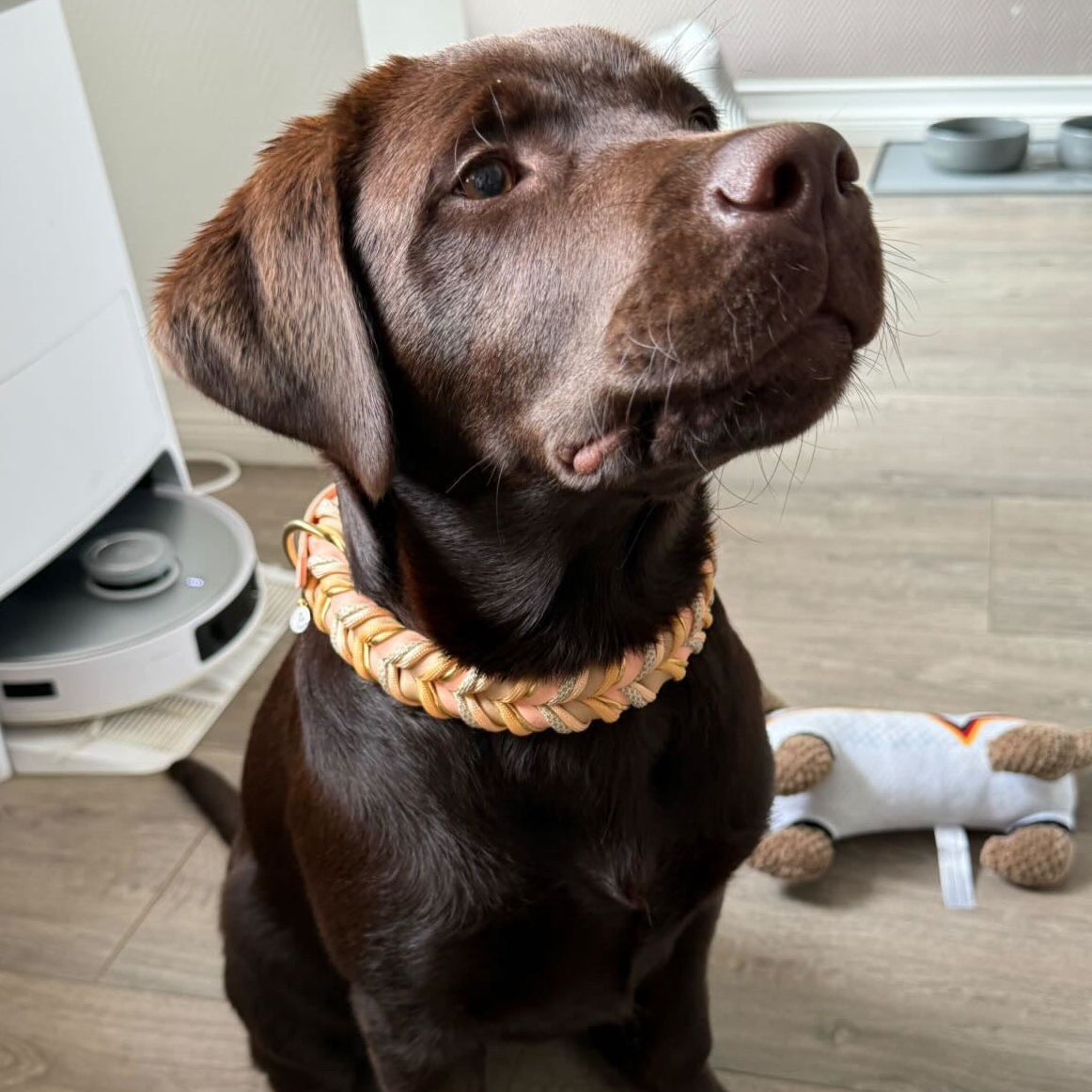 BioThane Halsband Peanut 2.0 – natürlicher Look
