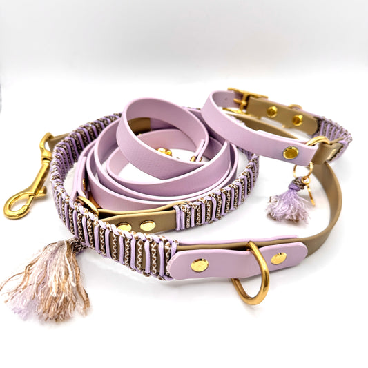 Hundeleine, Hundehalsband, Set
