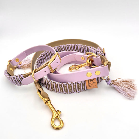 Hundeleine, Hundehalsband, Set